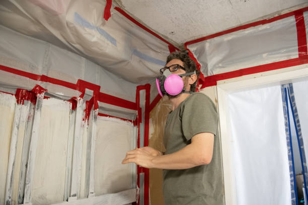 Best Industrial Mold Remediation  in USA